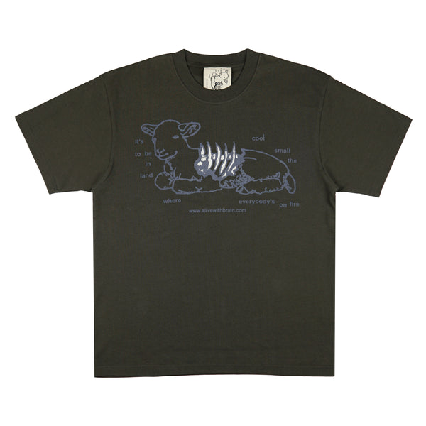 Cool To Be T-shirt - Dark Grey